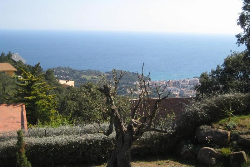 Club Villamar - Caipirinha Lloret de Mar Ngoại thất bức ảnh
